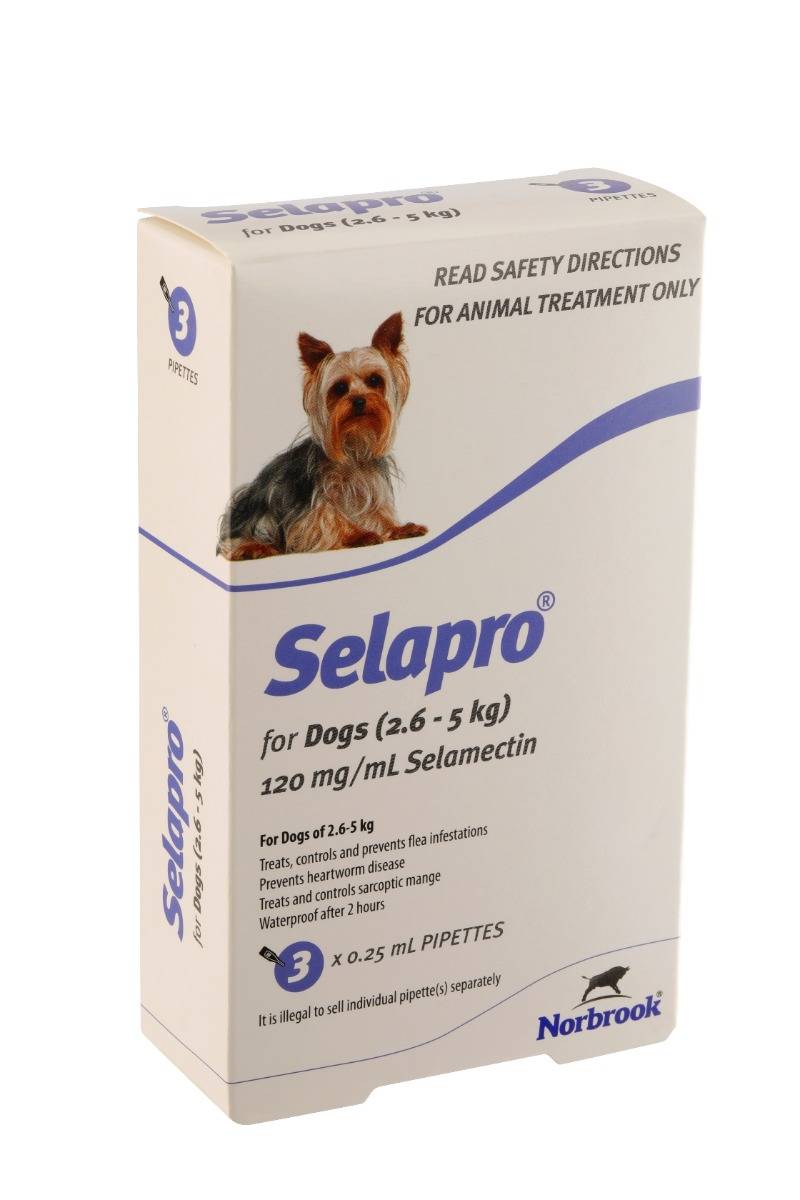 Selapro Spot On Very Small Dog 3pk