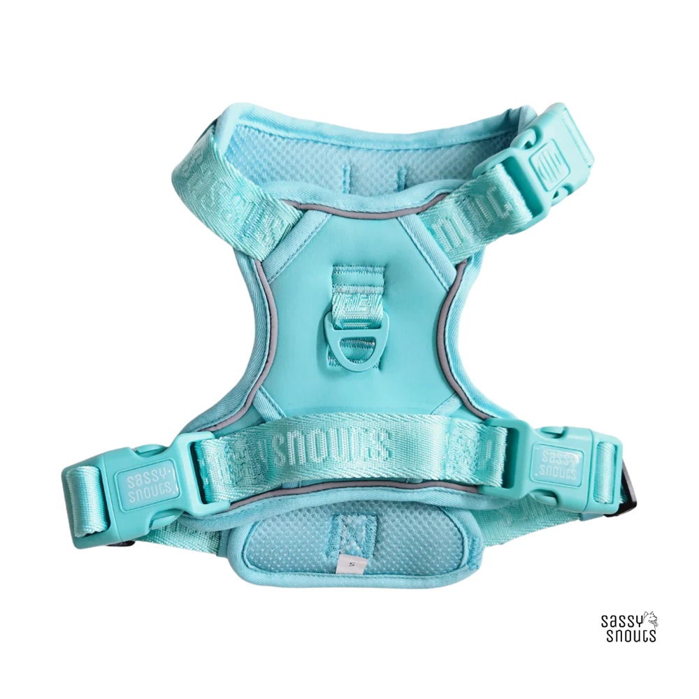 Sassy Snouts Signature Dog Harness GEN 2.0 Turquoise L