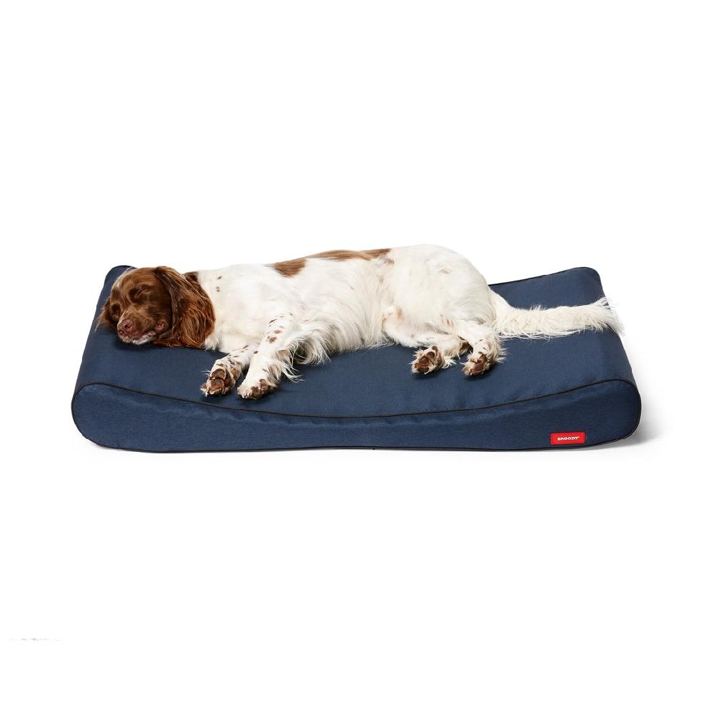 Snooza Ortho Lounger Blue Large