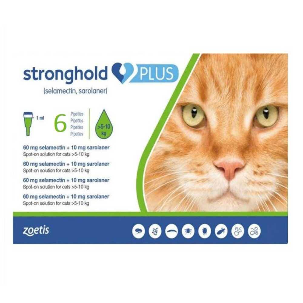 Stronghold Plus 60mg Cat 5-10Kg 6Pk