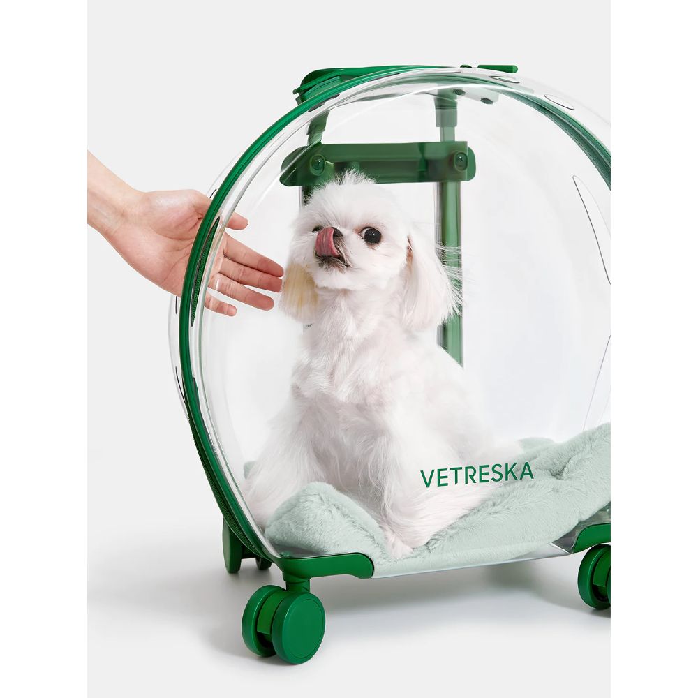 Vetreska Bubble Pet Carrier (Green & Transparent)