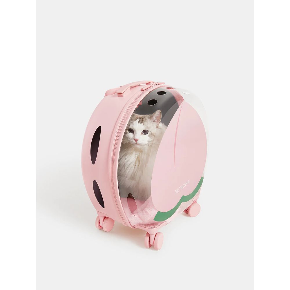 Vetreska Bubble Pet Carrier (Pink & Transparent)