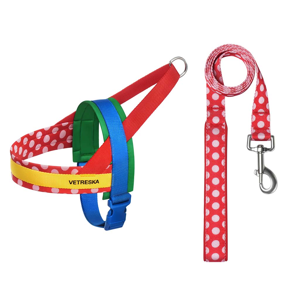 Vetreska Chroma Pet Harness & Leash Set Red M