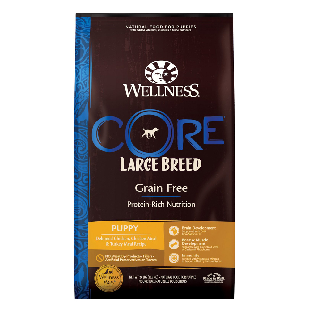 Wellness Core Large Breed Puppy 24lb