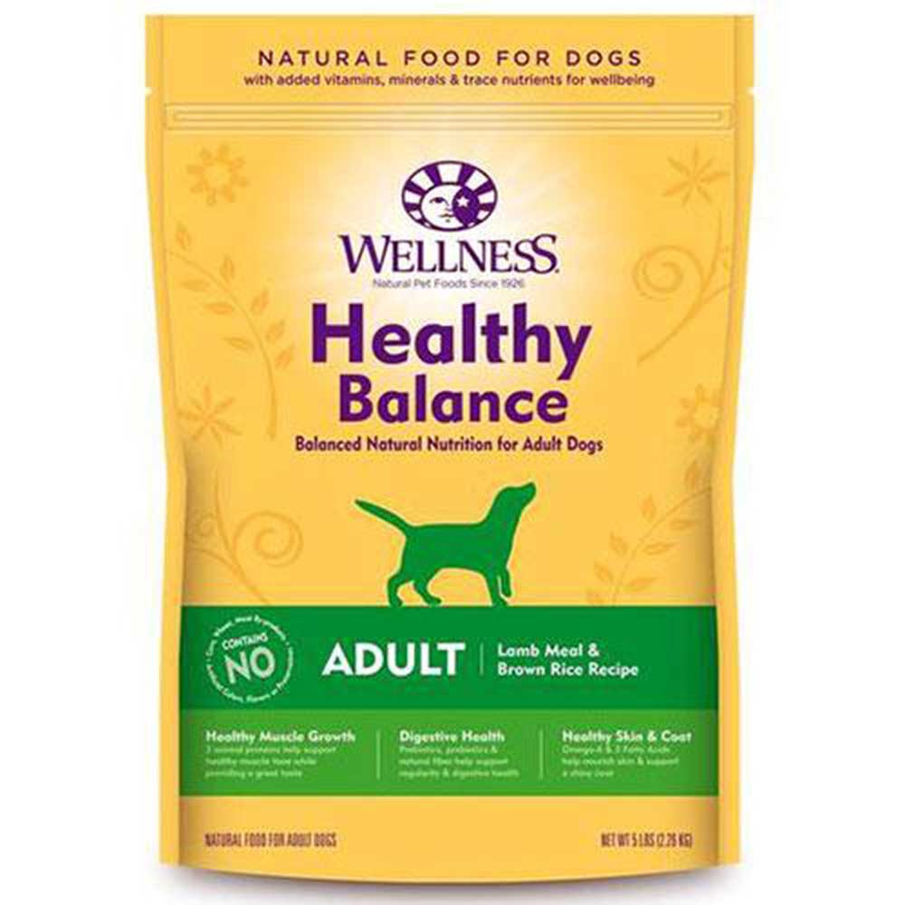 Wellness HB Adult Dog Food