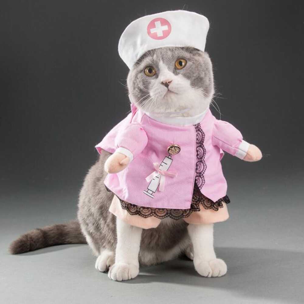 Wiggles Halloween Pet Cloth Nurse M