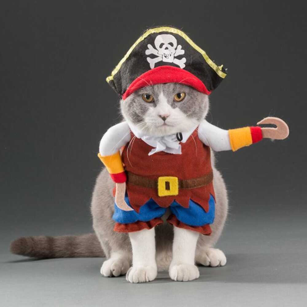 Wiggles Halloween Pet Cloth Pirate M