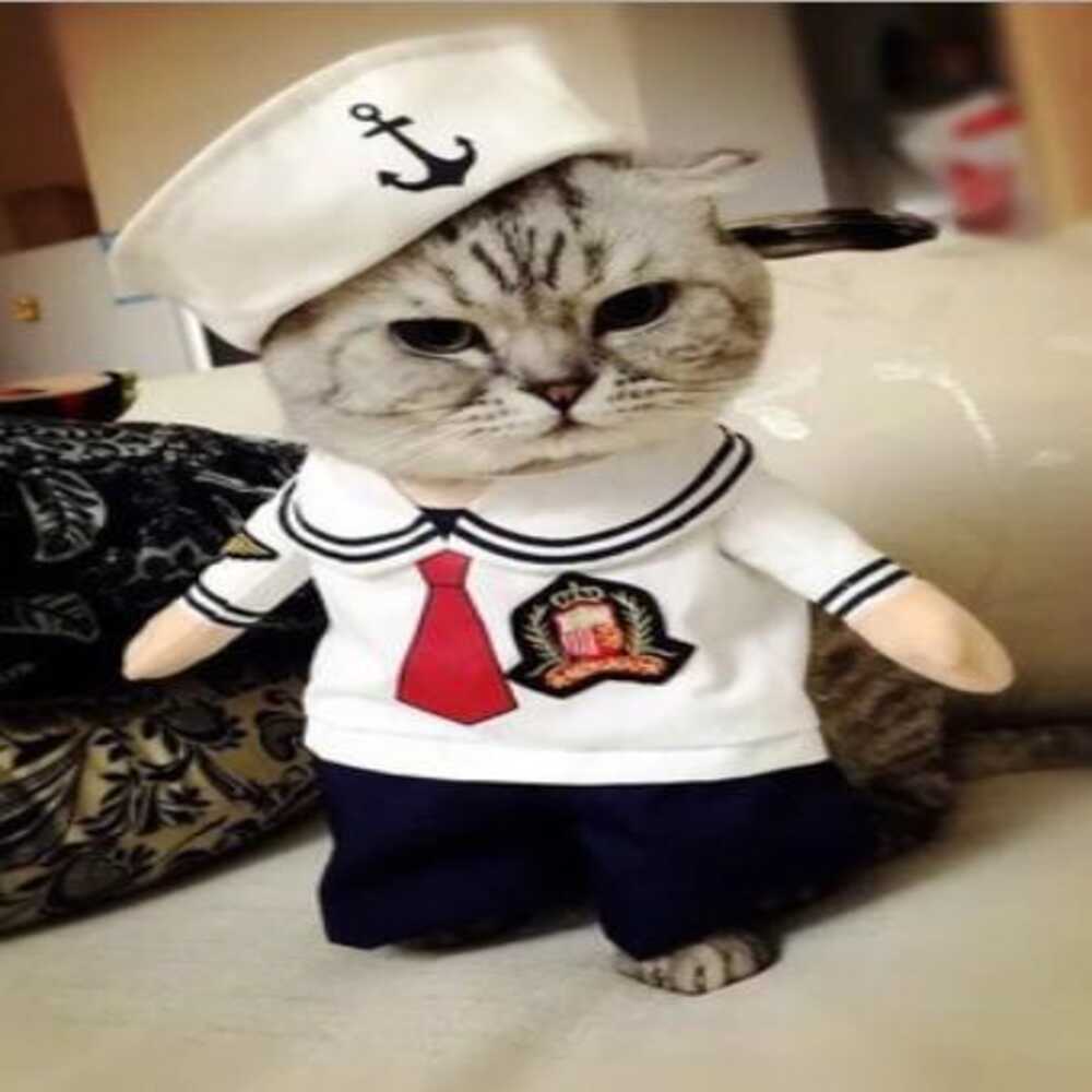 Wiggles Halloween Pet Cloth Sailor M